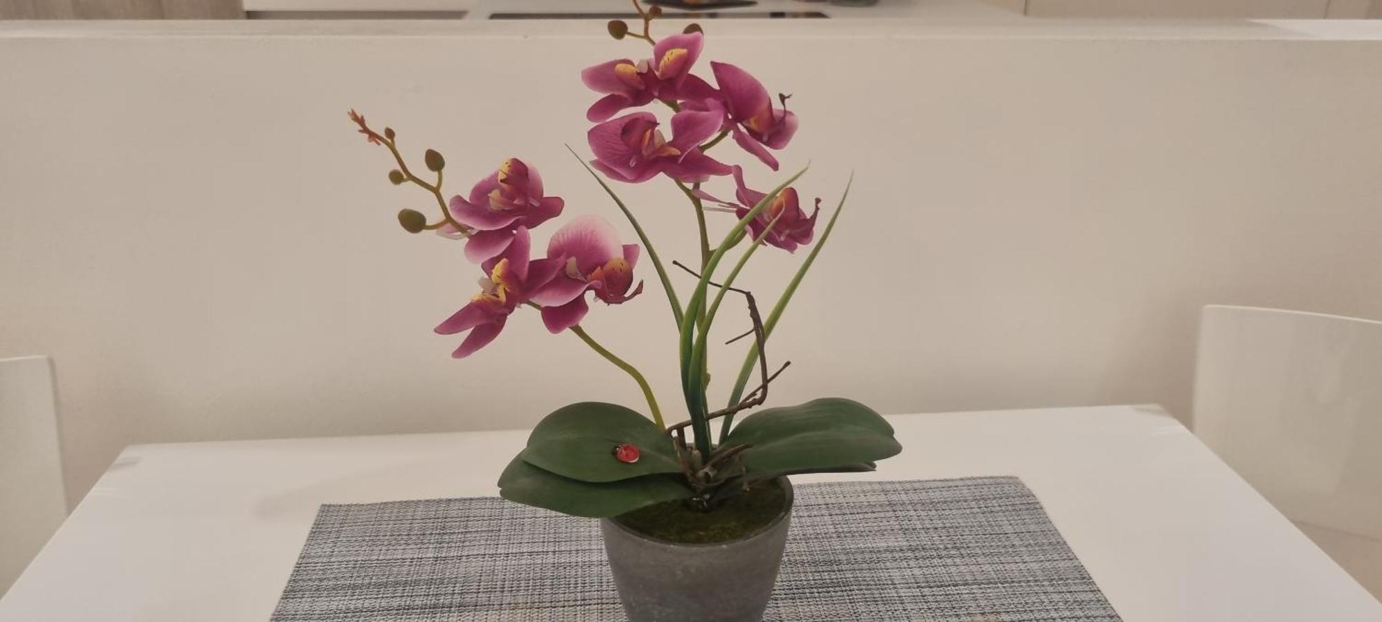 A Catania ...Casa Fabio Apartment Екстериор снимка